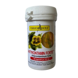 Antykontamin Forte – Unterstützung für das Verdauungssystem und gegen Parasiten
