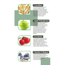 Purtier Livecell Therapy 7th Edition – Antioxidantien