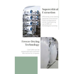 Purtier Livecell Therapy 7th Edition – Antioxidantien