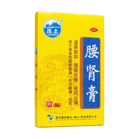 Yao Shen Gao – Pflaster für Rücken und Gelenke