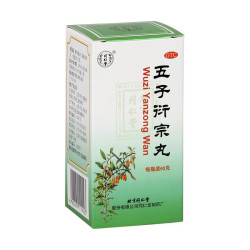 Wuzi Yanzong Wan – Unterstützung für Potenz und Fruchtbarkeit